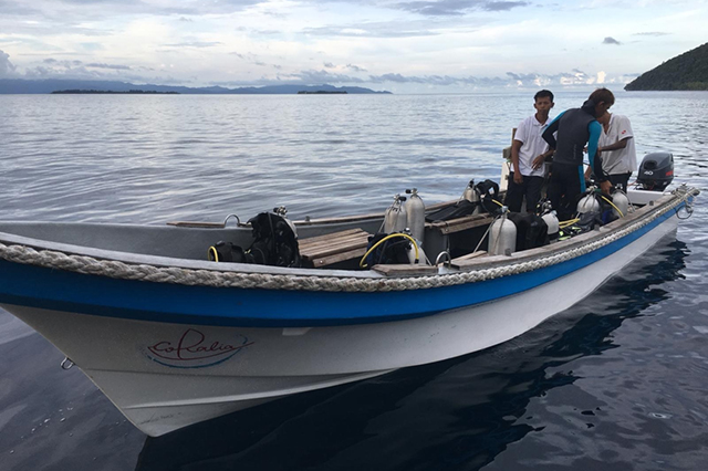 Tender boat - Coralia Dua - Indonesia Liveaboard