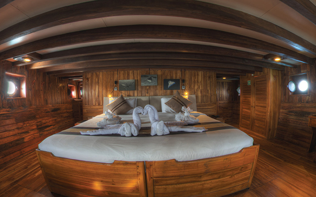 Master Cabin - MY Damai 1 - Indonesia Liveaboard