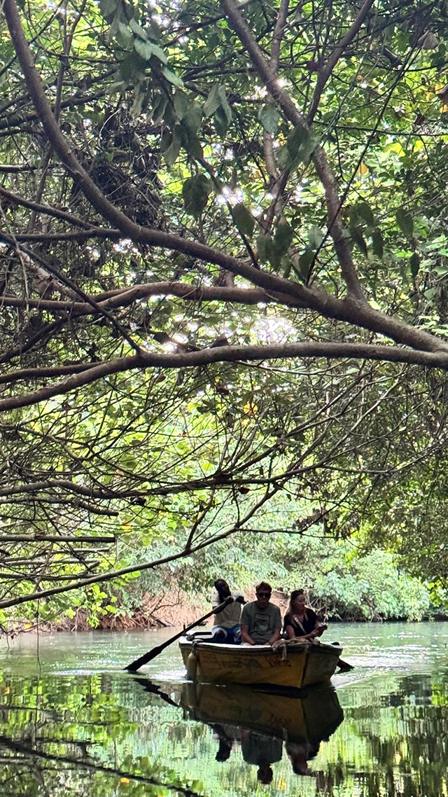 Land tour along the Indian River in Dominica