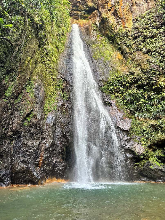 Land tour along the Indian River in Dominica