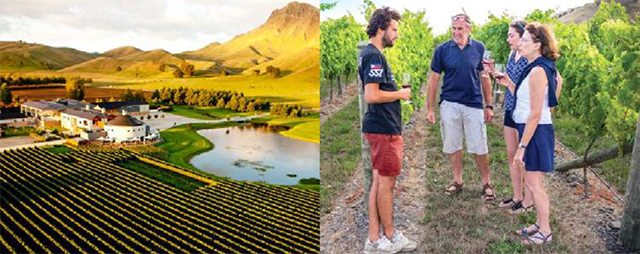 Wine Tour - Hawkes Bay