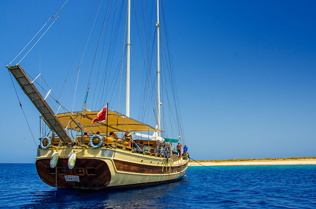 MSY Elegante - Djibouti Live Aboards - Dive Discovery Djibouti