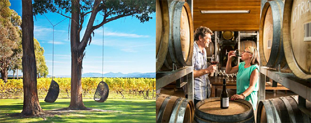 Marlborough Wine Tour