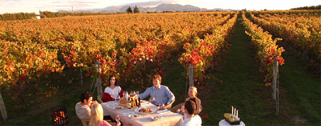 Martinborough Wine Tours