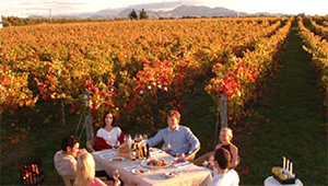 13 Day New Zealand Wine, Food and Art - New Zealand Tours - Dive Discovery