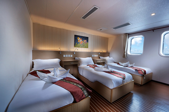 Cabin - White Manta Explorer - Indonesia Liveaboards - Dive Discovery Indonesia