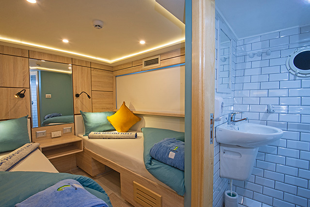 Twin cabin - Sea Serpent Serena - Red Sea Liveaboard