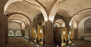 Wine cellar - Turin Wine Tour