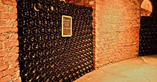 Wine cellar - Turin Wine Tour