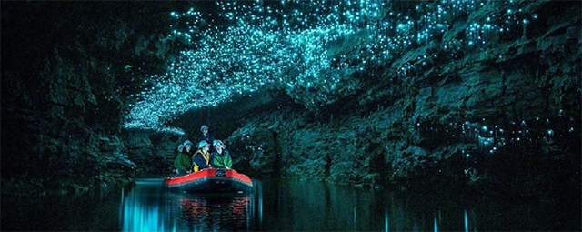 Waitomo - Cave Country