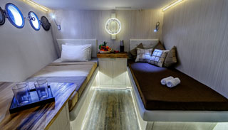 Pelagian - Indonesia Liveaboards - Dive Discovery Indonesia