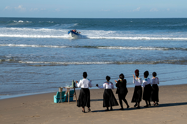 Sardine Run - South Africa